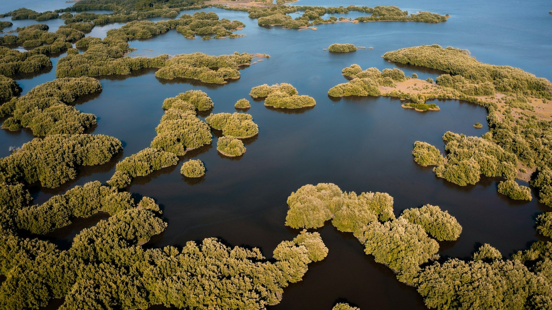 islands-to-explore-in-cedar-key